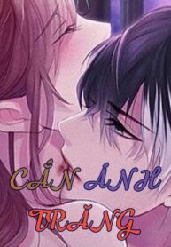 can-anh-trang